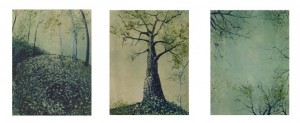Trees. 1999  